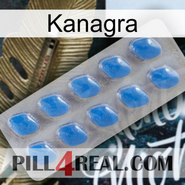 Kanagra 22.jpg